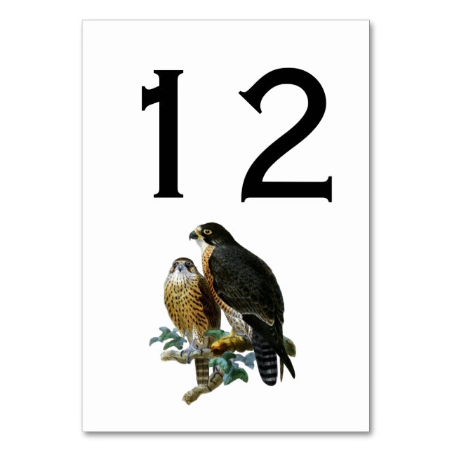 Vintage Stylised Falcons on Branch Table Number (Front)