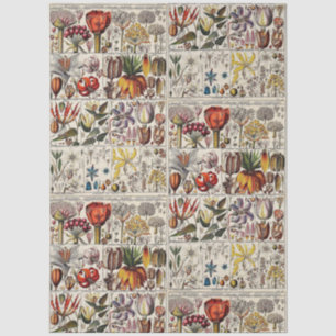 Vintage Stylised Flowers Botanical Book Plate #24 Tissue Paper