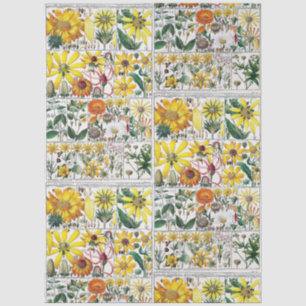 Vintage Stylised Flowers Botanical Book Plate #52 Tissue Paper