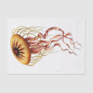 Vintage Stylised Jellyfish Drawing #1 Tissue Paper