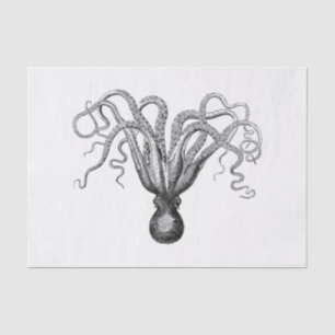 Vintage Stylised Octopus Drawing #8 Black Tissue Paper