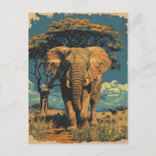 Vintage Südafrika Elefant In Der Savanne  Postcard