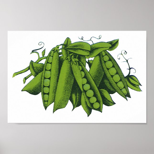 Vintage Sugar Snap Peas, Foods, Healthy Vegetables Poster (Front)