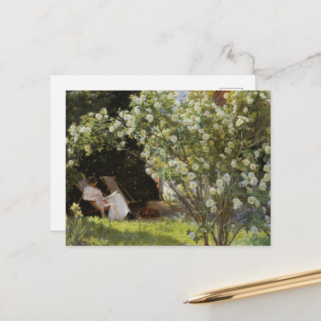 Vintage Summer Painting White Roses Reading Woman Postcard (Front/Back In Situ)