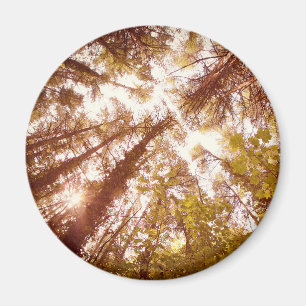 Vintage Summer Trees Magnet