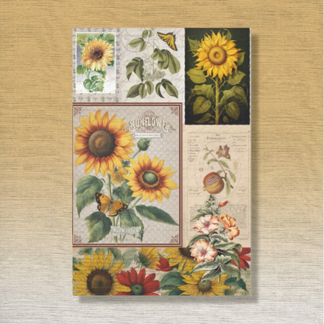 Vintage Sunflower Butterfly Seed Packet Ephemera   Tissue Paper (Creator Uploaded)