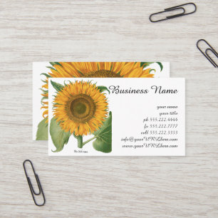 Vintage Sunflower Flower by Basilius Besler Business Card