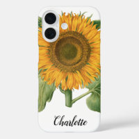 Vintage Sunflower Flower by Basilius Besler