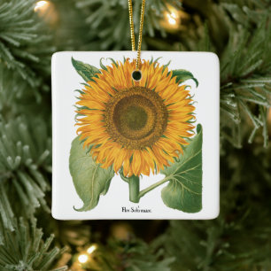 Vintage Sunflower Flower by Basilius Besler Ceramic Ornament
