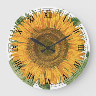 Vintage Sunflower Flower by Basilius Besler Large Clock