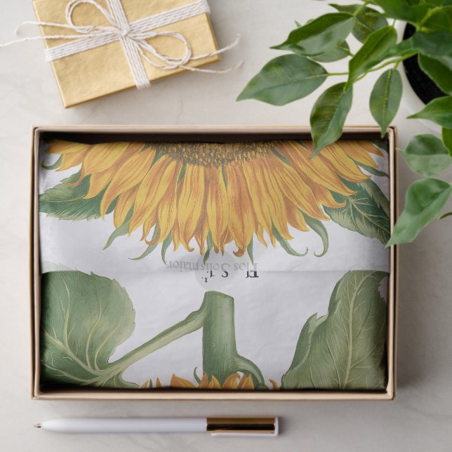 Vintage Sunflower Flower by Basilius Besler Tissue Paper (Gift)