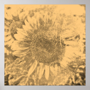 Vintage Sunflower painting artwork #2 - Posters