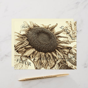 Vintage Sunflower Sepia Tone Old Script Decoupage