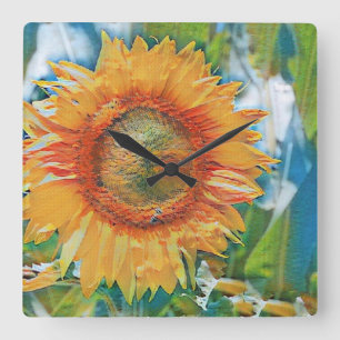 Vintage Sunflower Watercolor Green Blue Background Square Wall Clock