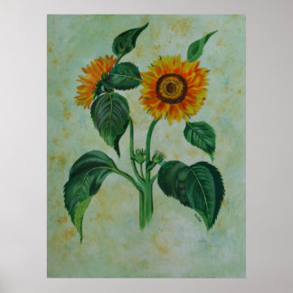 Vintage Sunflowers Botanical Art Poster