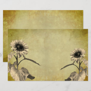 Vintage Sunflowers  Stationery