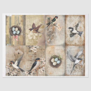 Vintage Swallow and nest with eggs floral Tissue Paper