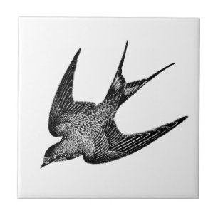 Vintage Swallow Illustration - 1800's Antique Bir Tile