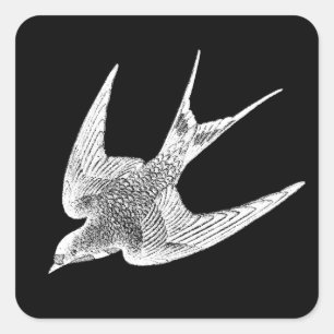 Vintage Swallow Illustration - 1800's Antique Bird Square Sticker