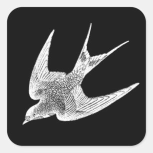 Vintage Swallow Illustration - 1800's Antique Bird Square Sticker