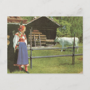 Vintage Sweden, Traditional farmyard scene Postcard
