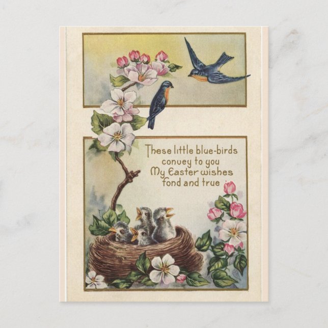 Vintage Sweet Bluebirds Easter Greetings Message Postcard (Front)