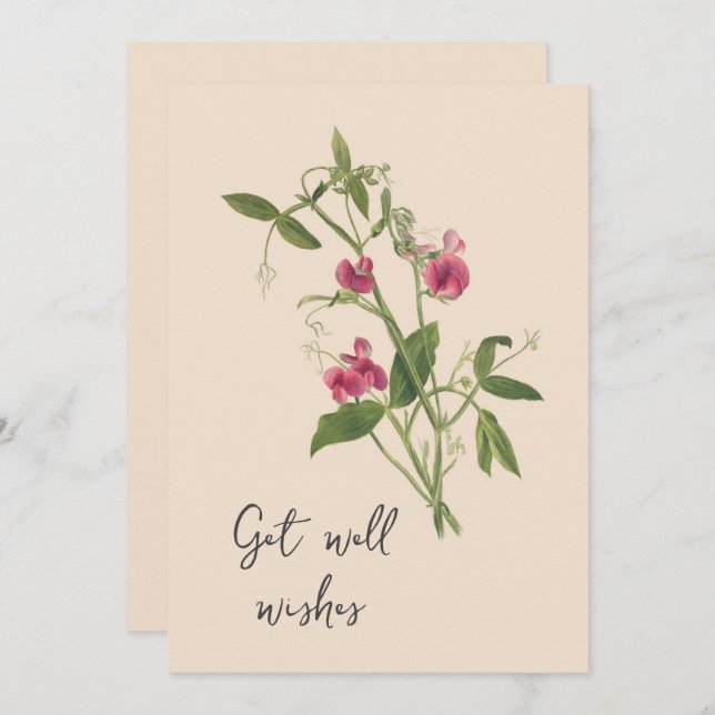 Vintage Sweetpea Flowers Get Well  Card (Front/Back)
