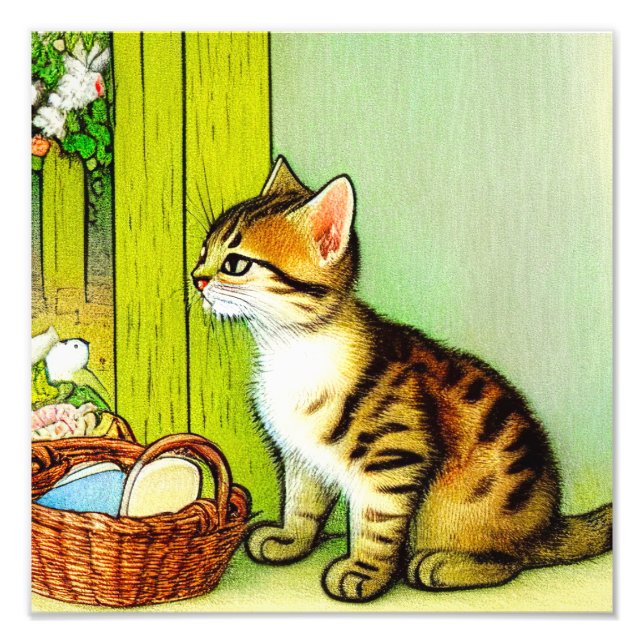 Vintage Tabby Cat Illustration Photo Print (Front)