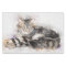 vintage tabby cat tissue paper