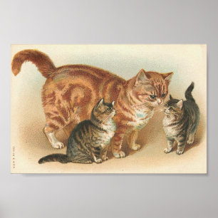 Vintage Tabby Cat With Kittens Poster