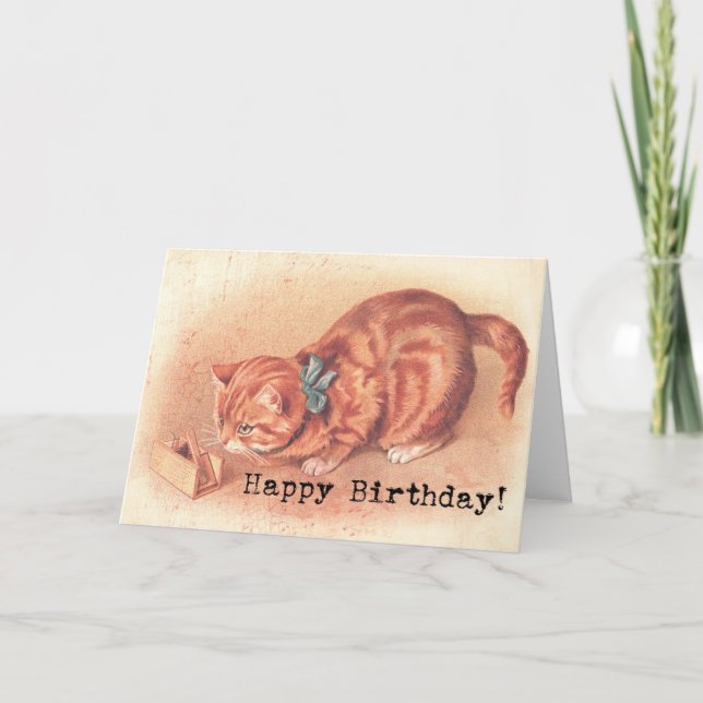 Vintage Tabby Kitty Birthday Card (Front)