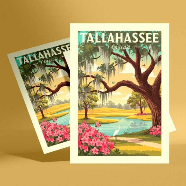 Vintage Tallahassee Florida Postcard (Creator Uploaded)