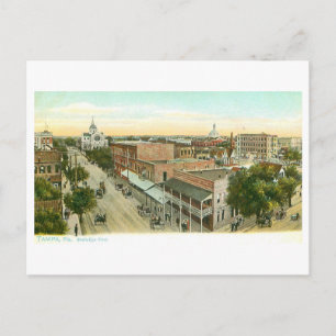 Vintage Tampa, Florida Postcard