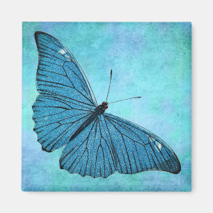 Vintage Teal Blue Butterfly 1800s Illustration Magnet
