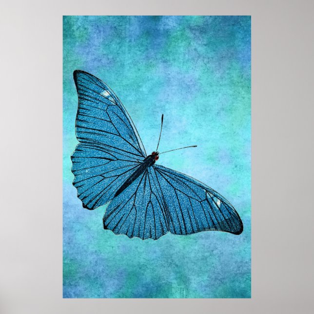 Vintage Teal Blue Butterfly 1800s Illustration Poster (Front)