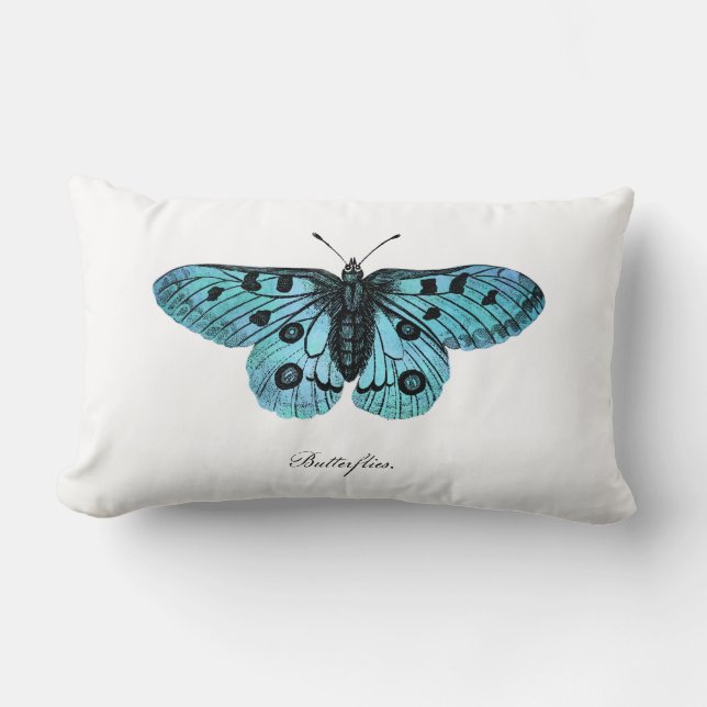 Vintage Teal Blue Butterfly Illustration - 1800's Lumbar Cushion (Front)