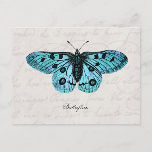 Vintage Teal Blue Butterfly Illustration - 1800's Postcard