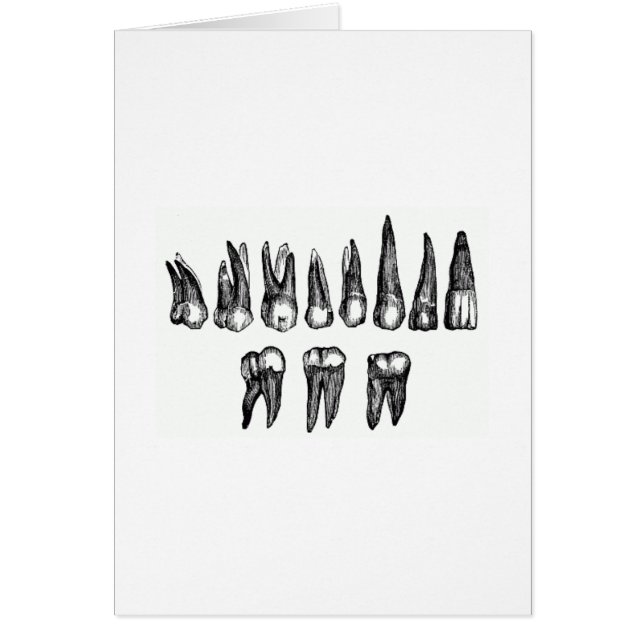 Vintage Teeth (Front)