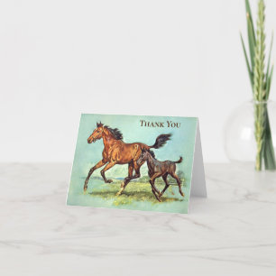Vintage - Thank You - Horses Run in a Pasture,