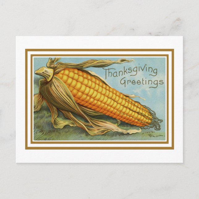 Vintage Thanksgiving Corn Postcard (Front)