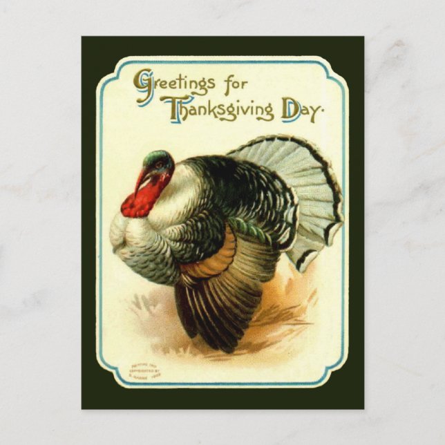 Vintage Thanksgiving Day Turkey Postcard (Front)