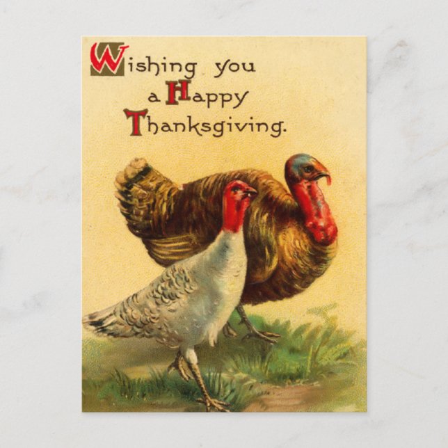Vintage Thanksgiving Day Turkey Postcard (Front)
