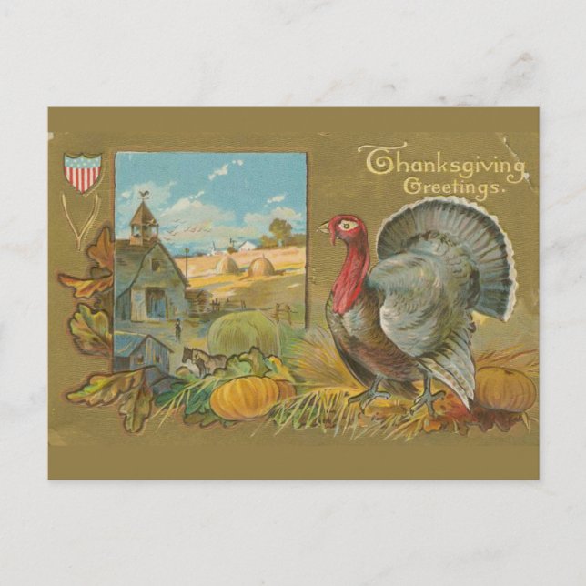 Vintage Thanksgiving greeting turkey and farm Postcard (Front)