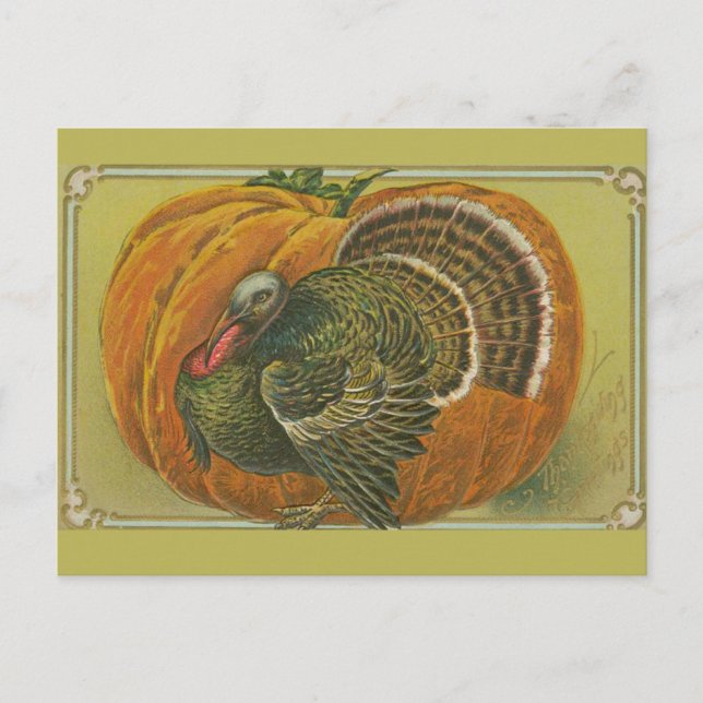 Vintage Thanksgiving greeting turkey and pumpkin Postcard (Front)