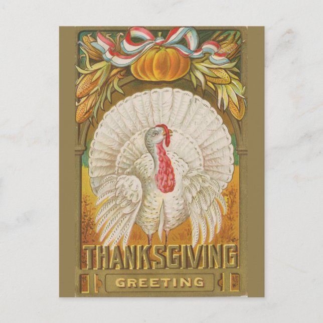 Vintage Thanksgiving greeting turkey Postcard (Front)