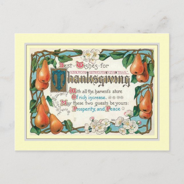 Vintage Thanksgiving Holiday Postcard (Front)