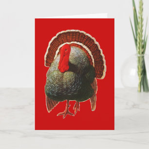Vintage Thanksgiving Turkey Holiday Card