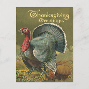 Vintage Thanksgiving, Turkey on the Farm Holiday Postcard