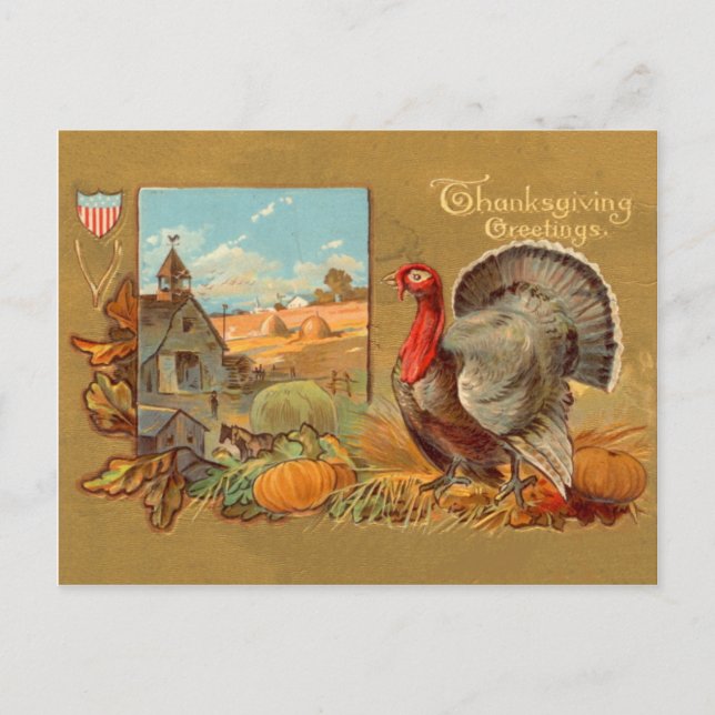 Vintage Thanksgiving Turkey Postcard (Front)