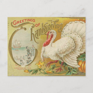 Vintage Thanksgiving turkey Postcard